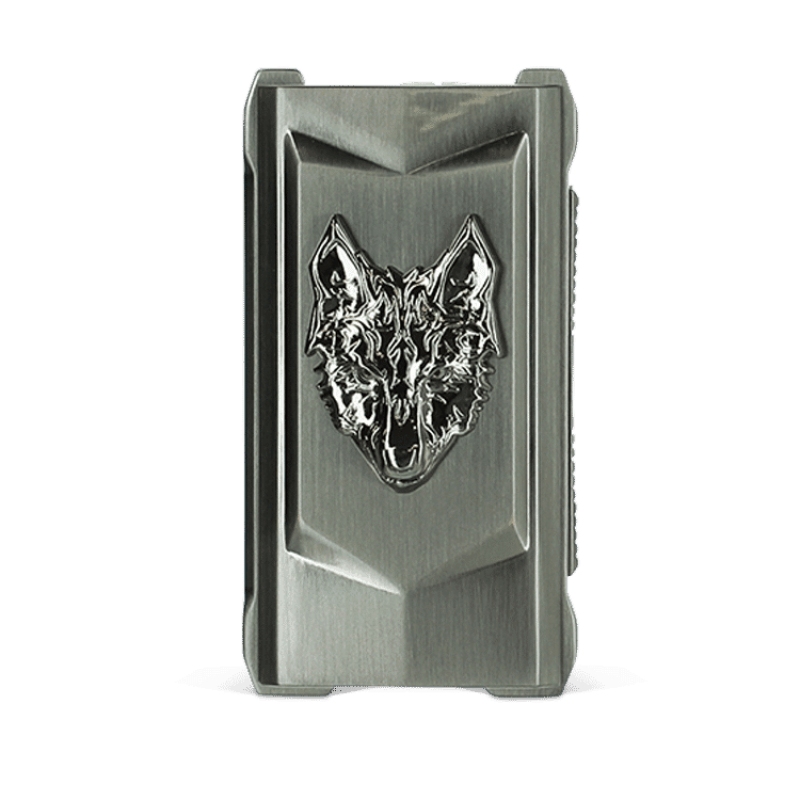 SnowWolf Mfeng 200W Mod